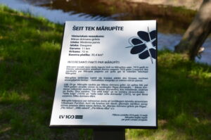 Mārupītes plāksnīte