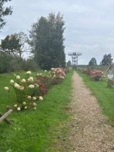 rudens ekskursija